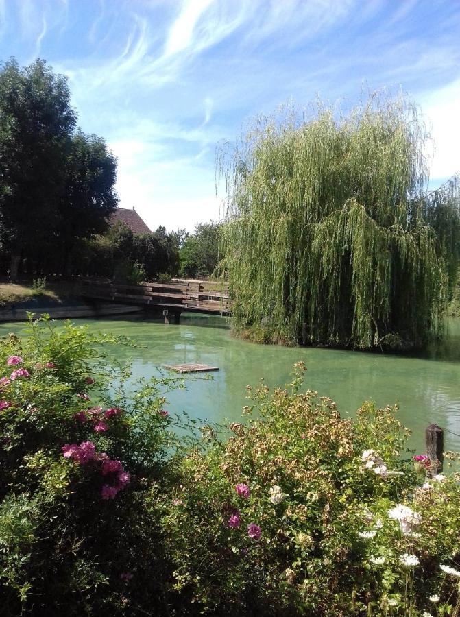 Ferme Bressane Les Arums Mervans Bagian luar foto